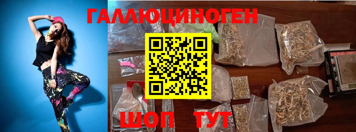 Псилоцибиновые грибы Psilocybine cubensis Павловский Посад