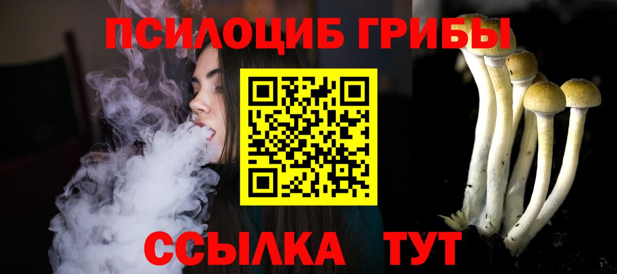 Павловский Посад  Псилоцибиновые грибы мухоморы  магазин  наркотиков  Вход с VPN 
